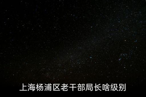 上海楊浦區(qū)老干部局長啥級(jí)別