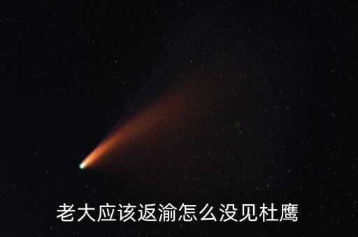張曉強杜鷹為什么，發(fā)改委副主任杜鷹是誰的孩子