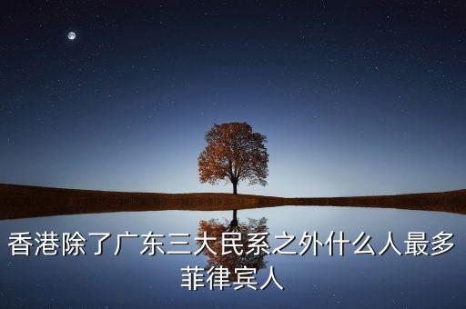 香港什么國籍的人多，香港除了廣東三大民系之外什么人最多菲律賓人