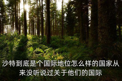 沙特到底是個國際地位怎么樣的國家從來沒聽說過關于他們的國際