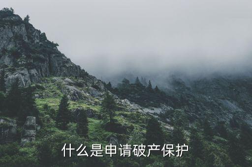 什么是申請破產(chǎn)保護，申請破產(chǎn)保護是什么意思