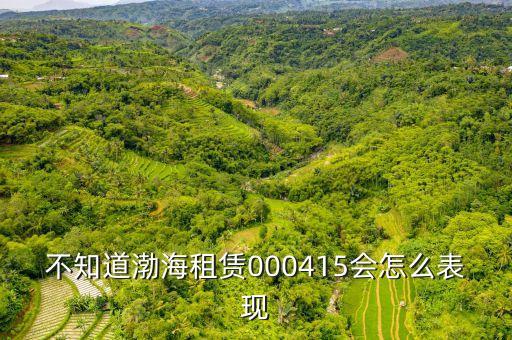 渤海租賃為什么漲的慢，不知道渤海租賃000415會怎么表現(xiàn)