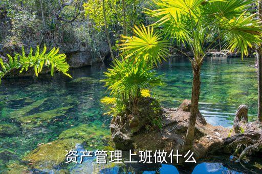 資產(chǎn)管理做什么，資產(chǎn)管理上班做什么