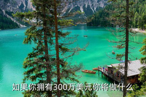 美國300萬美元能做什么，如果你擁有300萬美元你將做什么