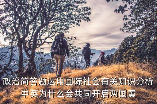 政治簡答題運(yùn)用國際社會(huì)有關(guān)知識分析中英為什么會(huì)共同開啟兩國黃