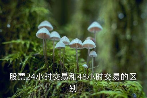 24小時(shí)交易是什么意思，股票24小時(shí)交易和48小時(shí)交易的區(qū)別