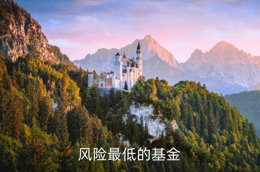 什么基金風險最低，風險最低的基金