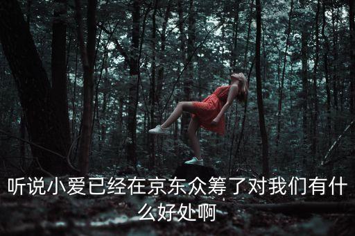 京東jimi機器人有什么作用，jimi 是什么意思