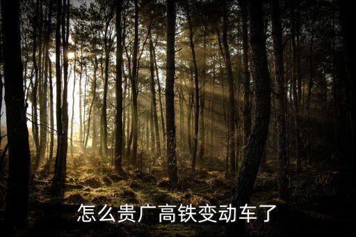 高鐵什么時(shí)候變動(dòng)車，怎么貴廣高鐵變動(dòng)車了