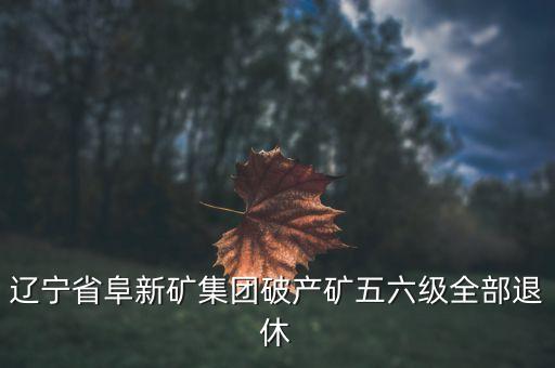 阜礦集團(tuán)什么時候破產(chǎn)，遼寧省阜新礦集團(tuán)破產(chǎn)礦五六級全部退休