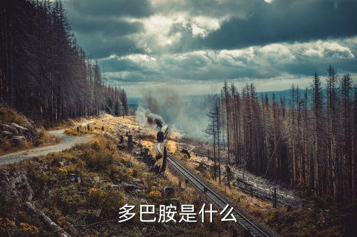 云藥是什么，rarely是什么意思
