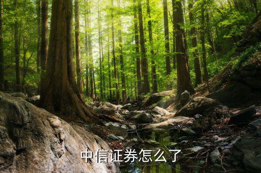 郭志榮為什么離開中信，中信證券怎么了
