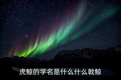 折戟鯨是什么，虎鯨的學(xué)名是什么什么戟鯨