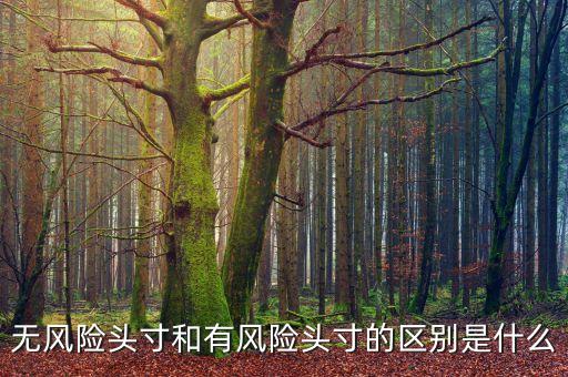 市場(chǎng)風(fēng)險(xiǎn)頭寸是什么，什么是可抵消市場(chǎng)風(fēng)險(xiǎn)頭寸