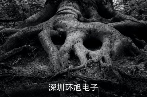 環(huán)旭電子經(jīng)營什么，上海環(huán)旭電子有限公司在什么地方