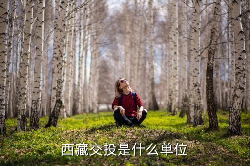 西藏成投是做什么的，西藏交投是什么單位