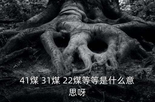 什么叫三二煤，2煤3煤什么意思