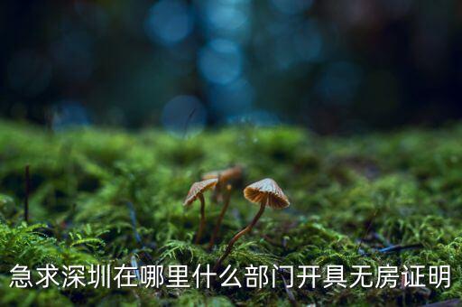 坪山國土局在什么地方，深圳哪座山比較有趣