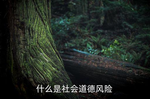 什么是社會(huì)風(fēng)險(xiǎn)，什么是社會(huì)道德風(fēng)險(xiǎn)