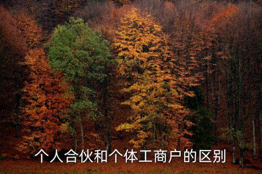 個人合伙領取什么經營執(zhí)照，個人合伙辦理個體工商戶執(zhí)照