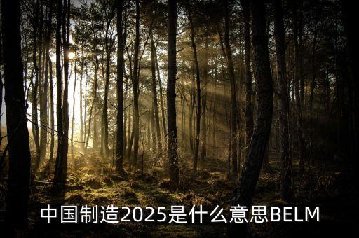 2025規(guī)劃是什么，中國制造2025是什么意思BELM