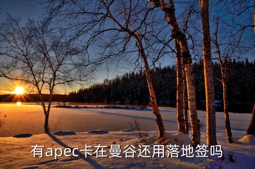 apec為什么有俄羅斯，亞太經(jīng)合組織怎么樣為什么中國(guó)1991年才加入怕俄羅斯聯(lián)邦嗎