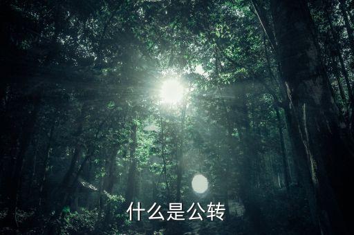 公轉(zhuǎn)書是什么，什么是公轉(zhuǎn)