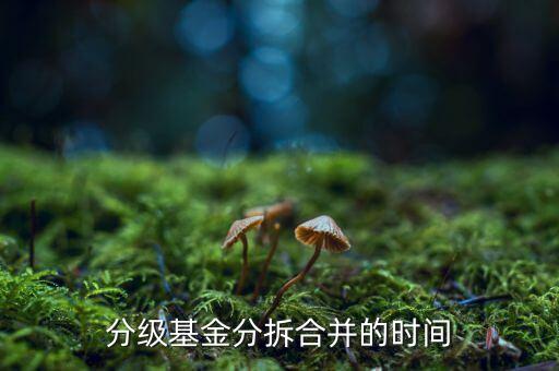 基金什么時候拆分，基金一般在什么時候拆分或分紅