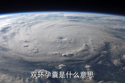 雙環(huán)控制是什么，b超里面的雙環(huán)征明顯是雙環(huán)征是什么意思