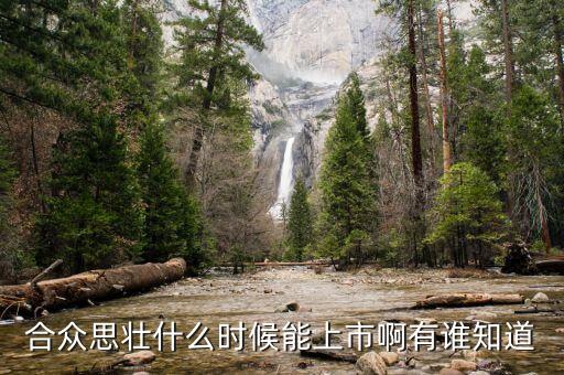 合眾思壯什么時(shí)候復(fù)牌，合眾思壯什么時(shí)候能上市啊有誰知道
