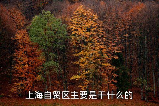 自貿(mào)區(qū)是干什么的，自貿(mào)區(qū)是做什么的