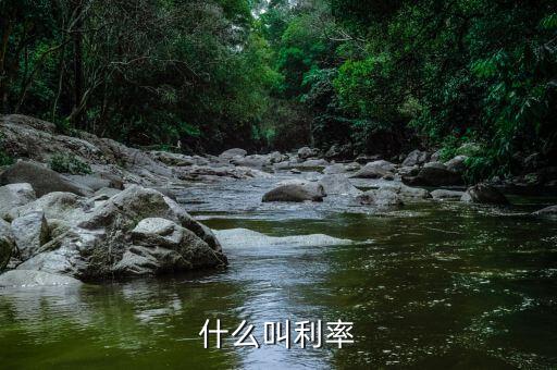什么叫做利率，什么叫做利率