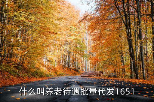 什么叫代發(fā)養(yǎng)老金，養(yǎng)老金代發(fā)機構(gòu)是指什么