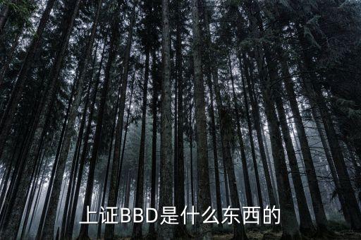 bbd凈差是什么意思，上證BBD是什么東西的