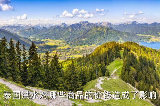 洪災(zāi)對(duì)什么價(jià)格有影響，洪災(zāi)對(duì)什么市場(chǎng)影響最大