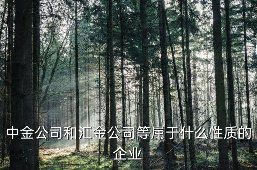 中金公司是什么性質(zhì)的，石家莊中金投資咨詢有限公司