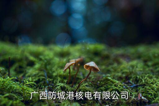 防城港核電站什么時候發(fā)電，請問防城港核電廠什么時候建成并投入使用