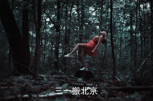 三一為什么搬家，三一搬北京