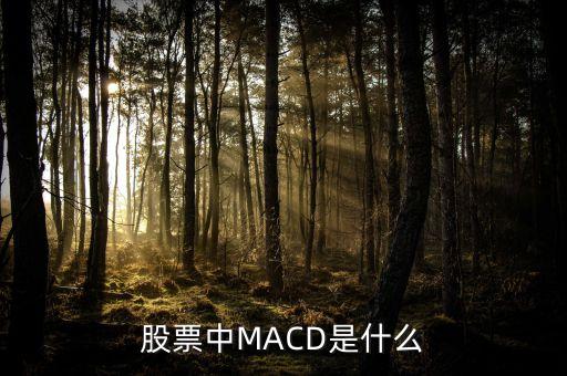 股市MACD線是什么意思，股票中MACD是什么意思