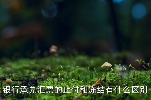 凍結(jié)止付什么意思，銀行承兌匯票的止付和凍結(jié)有什么區(qū)別