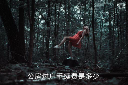 公房使用權(quán)轉(zhuǎn)讓需要交什么錢，公租房使用權(quán)交易如何收費(fèi)