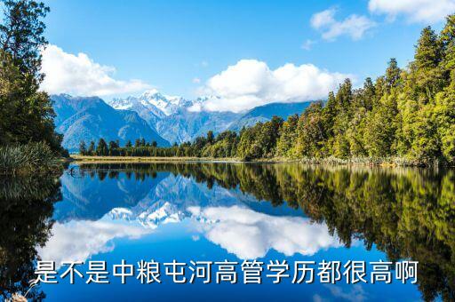中糧張東風(fēng)什么級(jí)別，蒙牛的股權(quán)結(jié)構(gòu)中糧和它是什么關(guān)系高層主管分別是誰(shuí)
