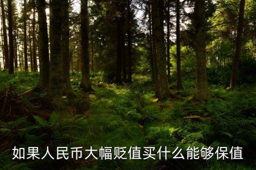 錢貶值買什么，人民幣貶值買什么好