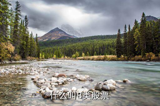 分級(jí)股b什么意思，分級(jí)基金b和b股一樣嗎