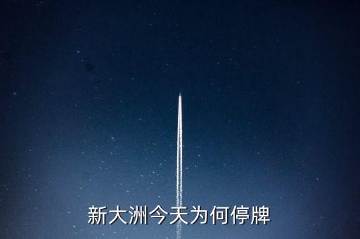 新大州a什么時候復(fù)牌，公告出來了請懂行的解釋一下什么時候可以復(fù)牌