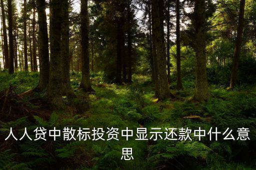 散標(biāo)是什么意思，散標(biāo)是什么