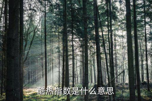 熱度指數是什么，Heat index 加熱指數是什么意思