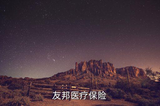 花旗代理友邦什么保險(xiǎn)，花旗和友邦合作的意外保險(xiǎn)怎么樣