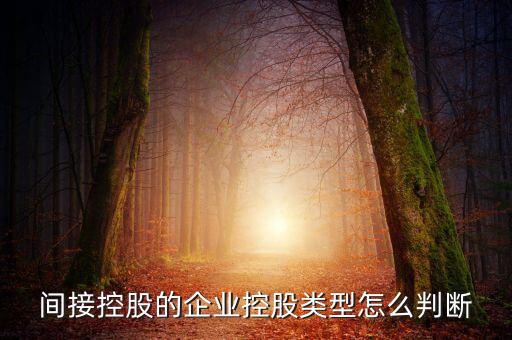間接持股是什么意思，間接是什么意思