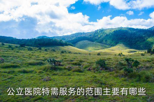 特需服務(wù)服務(wù)給醫(yī)院帶來(lái)了什么，公立醫(yī)院特需服務(wù)的范圍主要有哪些